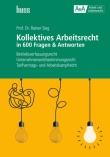 Kollektives Arbeitsrecht in 600 Fragen & Antworten E-Book